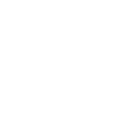 icon-strategy