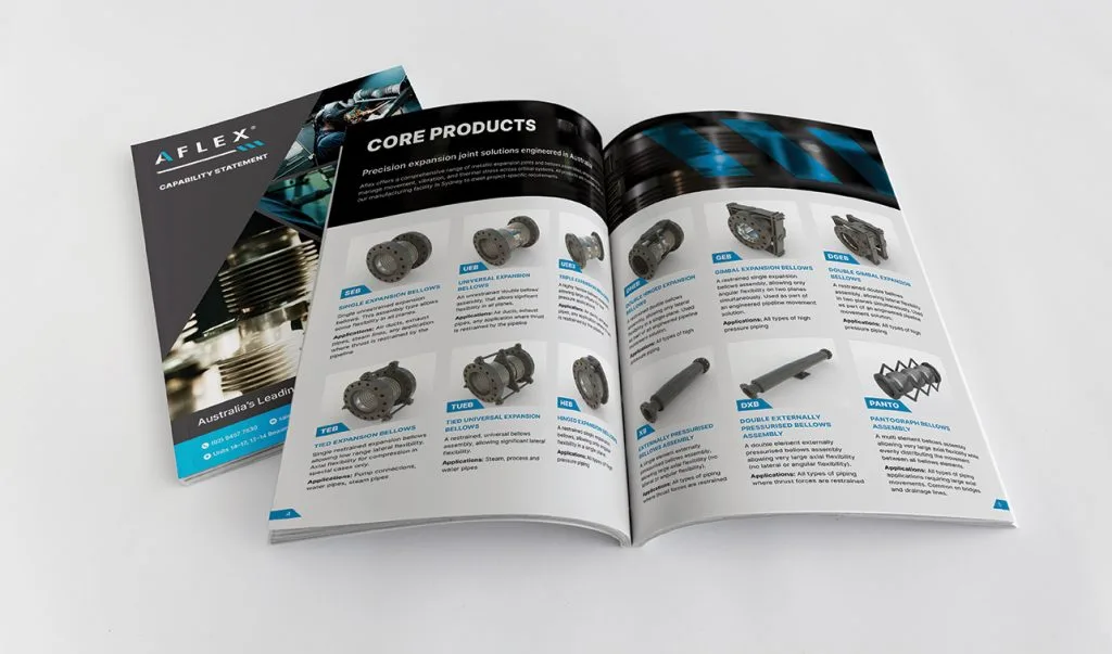 Example of a professional capability statement design